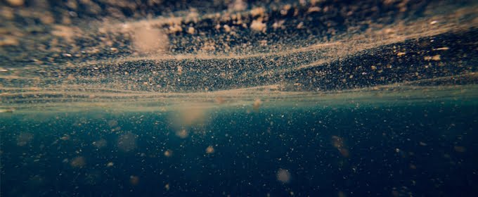 Top 10 Benefits of Phytoplankton