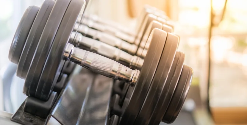 Fats for Bodybuilding