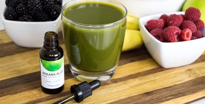 Oceans Alive Phytoplankton Fan Mail